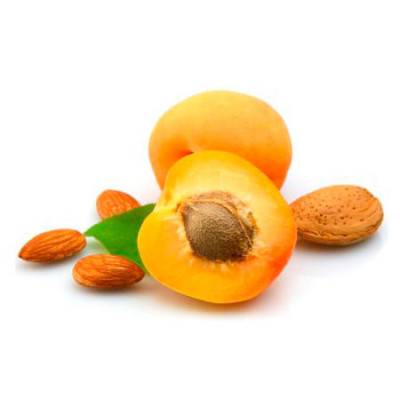 Armina Bio kajszibarackmagolaj | Wereco