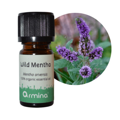Armina Bio illóolaj Mezei menta (vad) 5 ml | Wereco