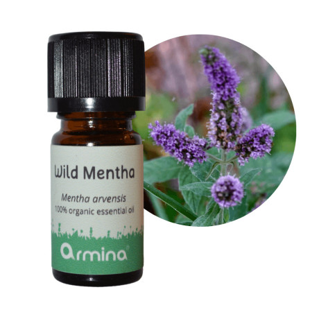 Armina Bio illóolaj Mezei menta (vad) 5 ml