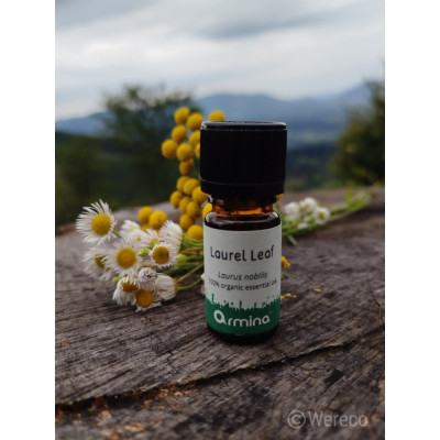 Armina Bio babér illóolaj 5 ml | Wereco